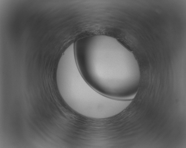 X0000052920088200507080812