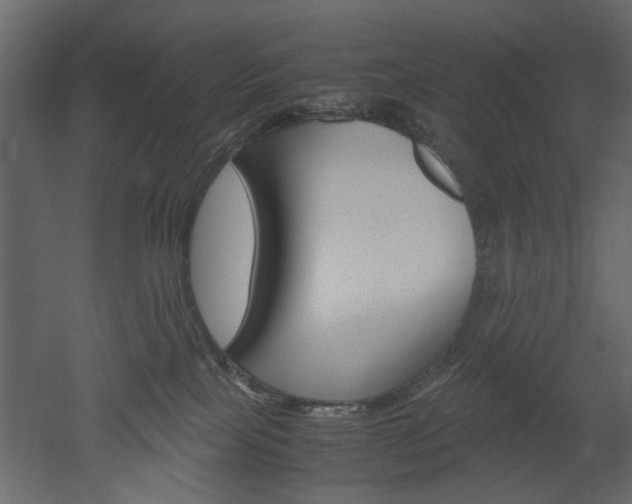 X0000052920089200507080812