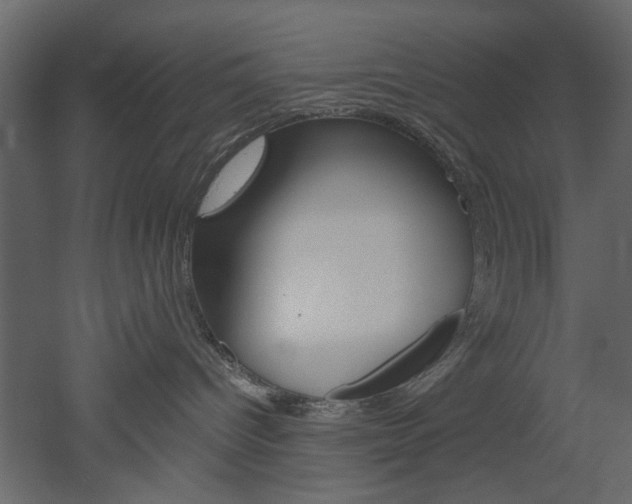 X0000052920096200507080812