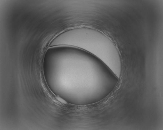 X0000052920097200507080811