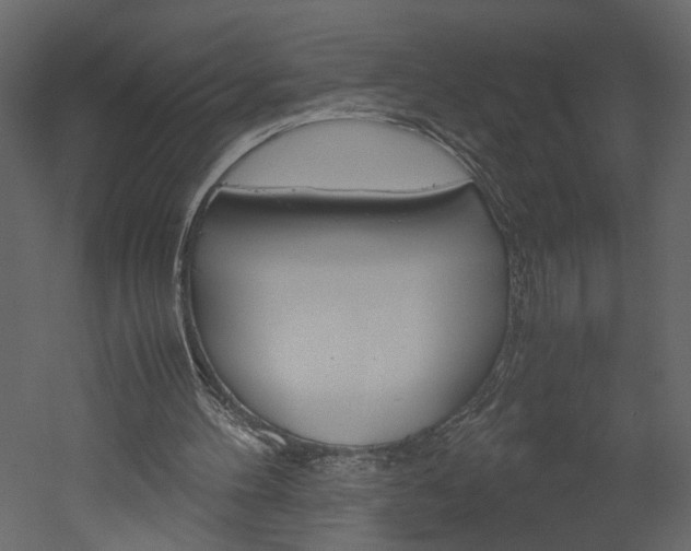 X0000052920100200507080811