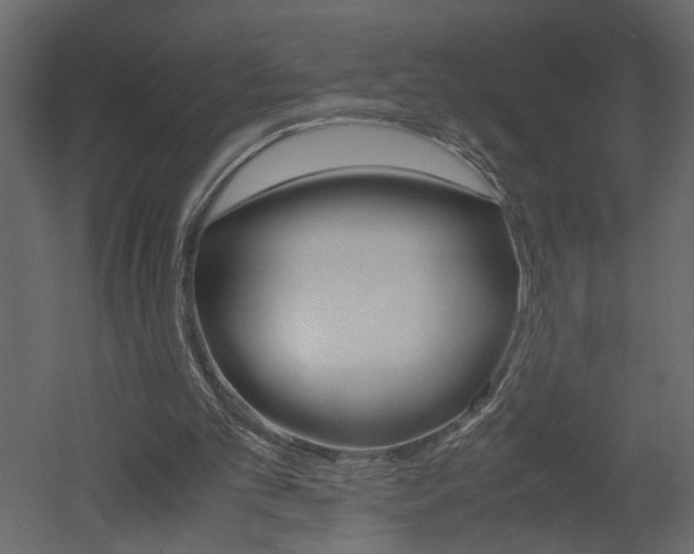 X0000052920101200507080811