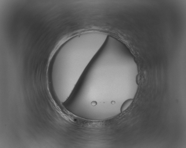 X0000052920102200507080811