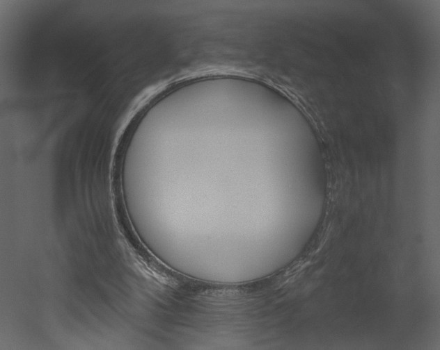 X0000052920104200507080811