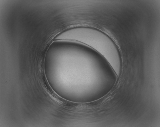 X0000052920105200507080811