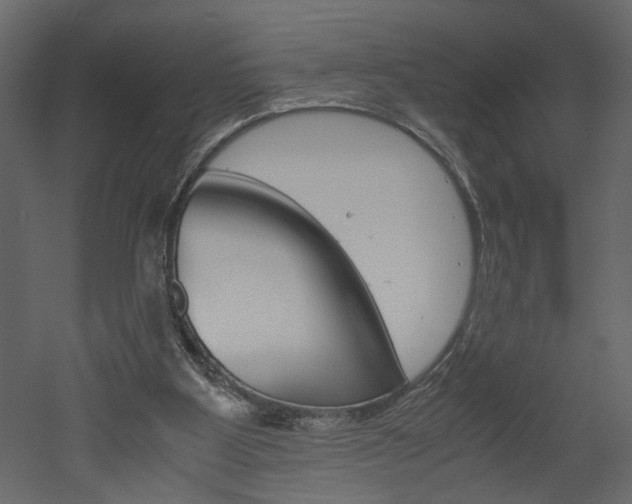 X0000052920107200507080811