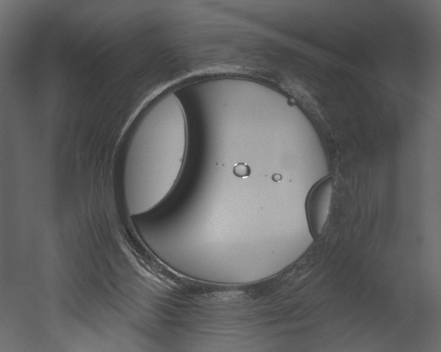 X0000052920108200507080811