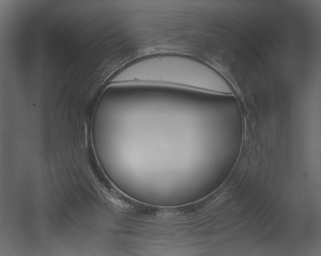 X0000052920109200507080811
