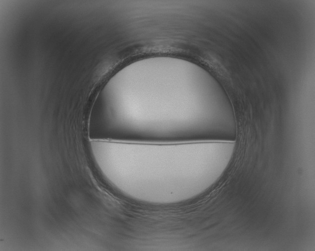 X0000052920111200507080811