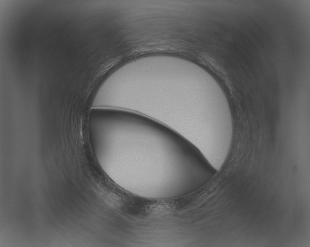 X0000052920115200507080811