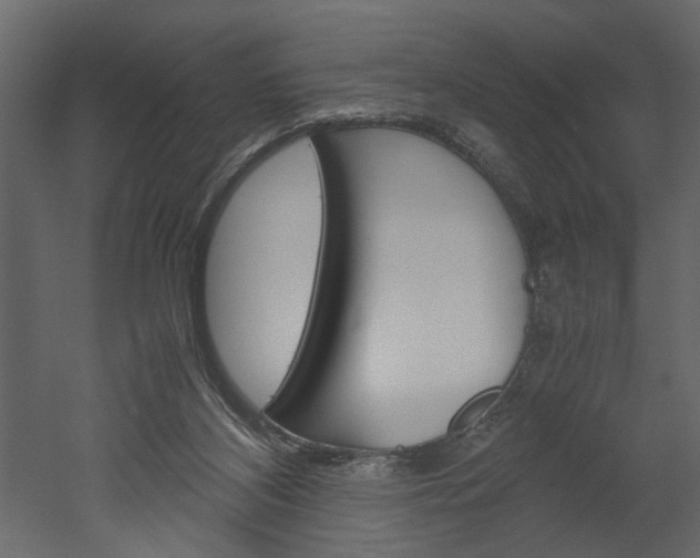 X0000052920116200507080811