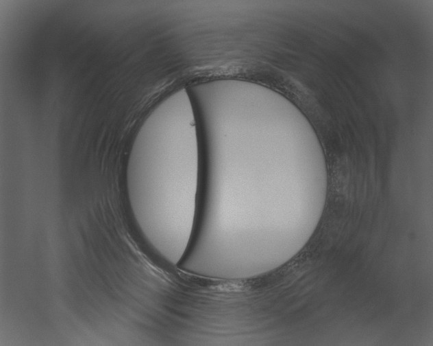 X0000052920118200507080811