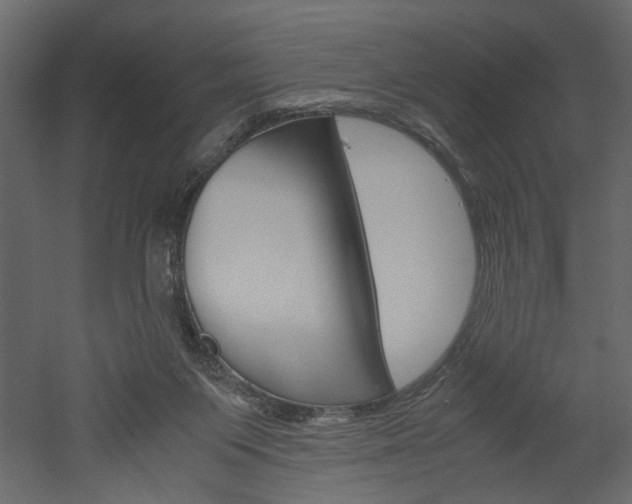 X0000052920119200507080811