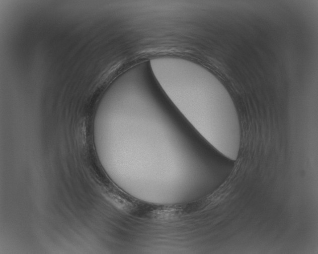X0000052920120200507080811
