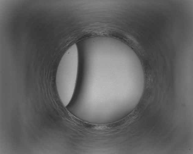 X0000052920121200507080811