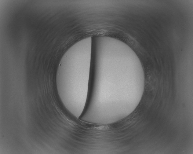 X0000052920122200507080811