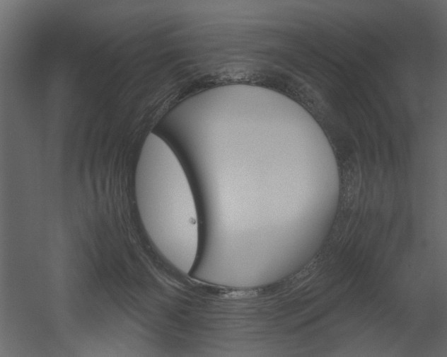 X0000052920126200507080811
