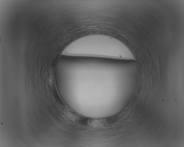 X0000052920129200507080810