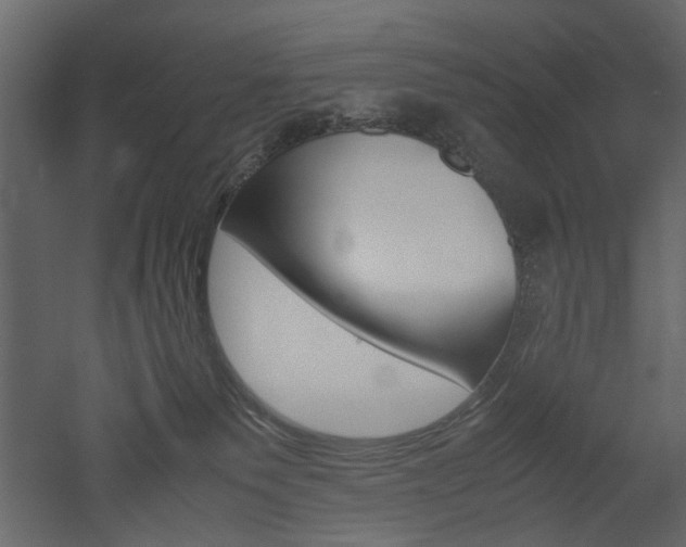 X0000052920135200507080810
