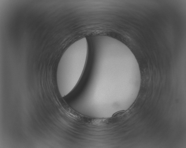 X0000052920136200507080810