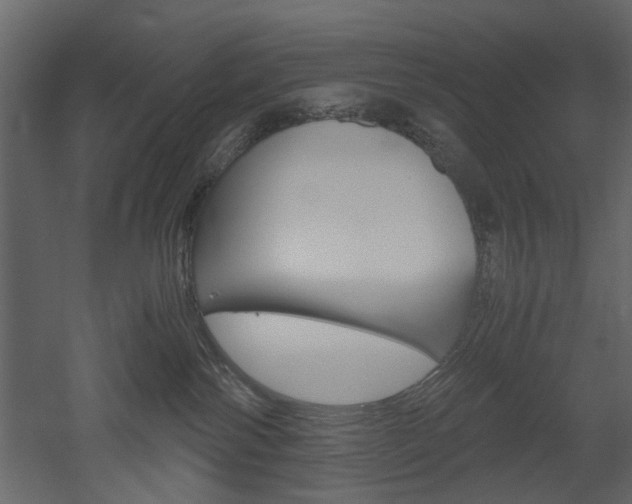 X0000052920138200507080810