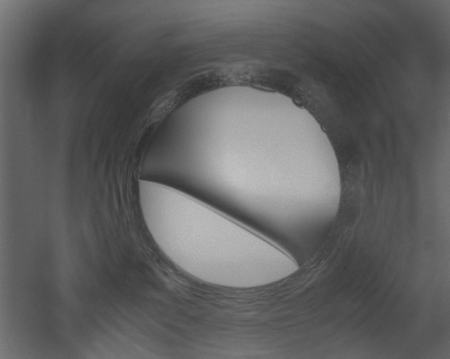 X0000052920139200507080810