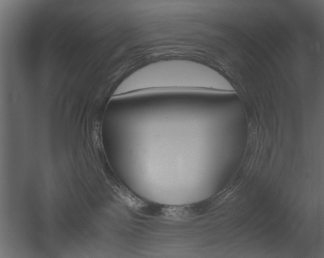 X0000052920141200507080810