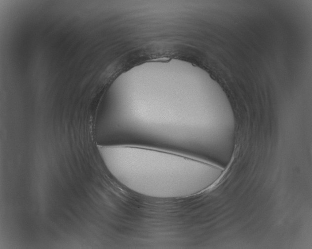 X0000052920144200507080810