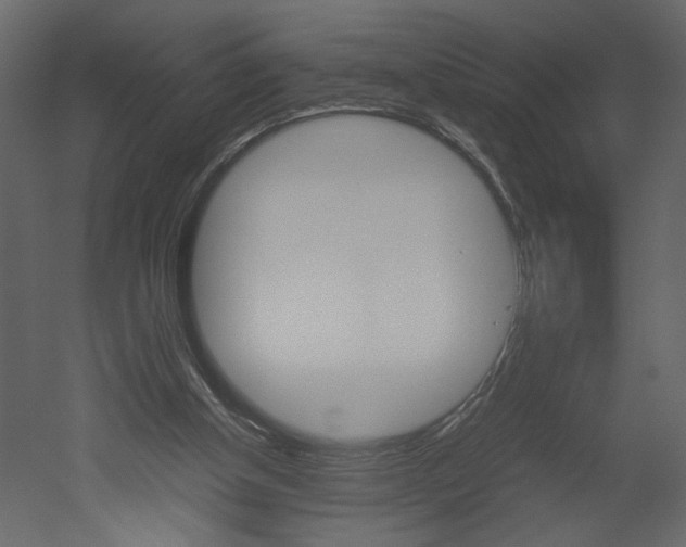 X0000052920154200507080810
