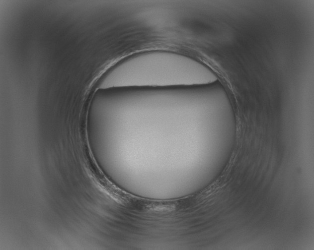 X0000052920155200507080810