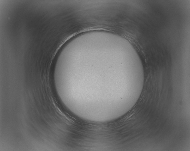 X0000052920156200507080810