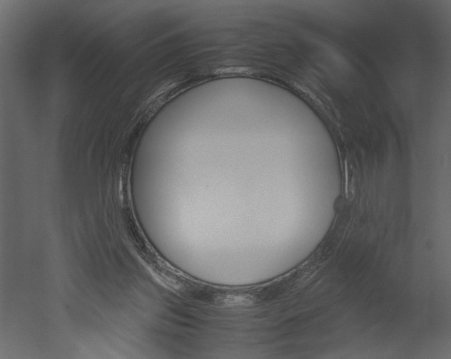 X0000052920157200507080810