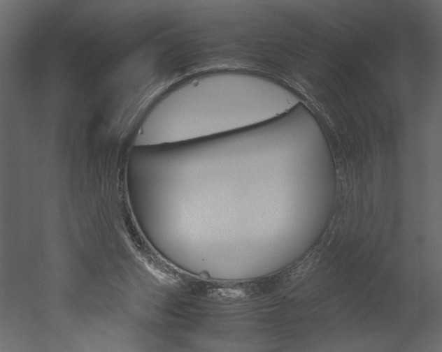 X0000052920159200507080810