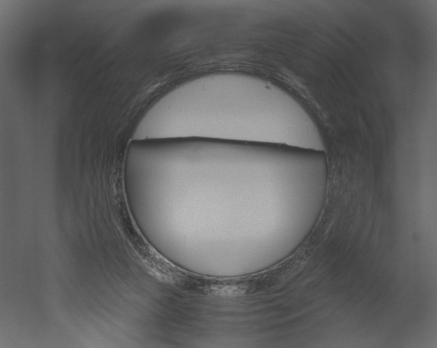 X0000052920161200507080810