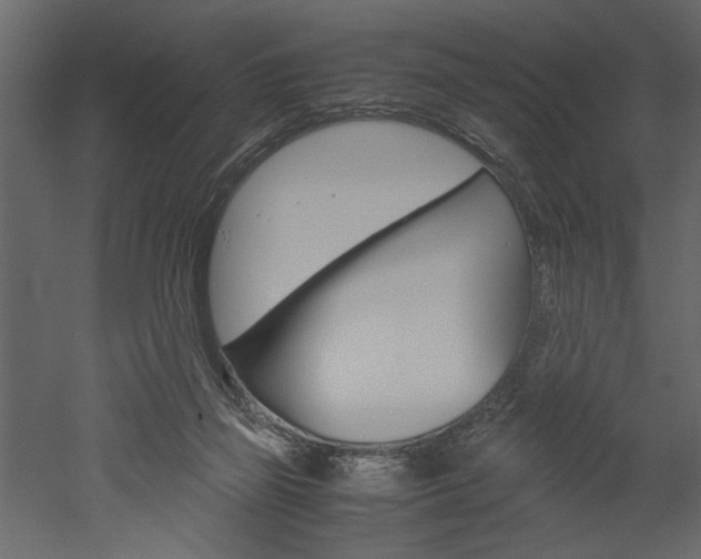 X0000052920165200507080810