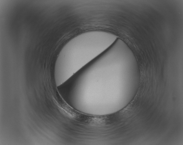 X0000052920166200507080810