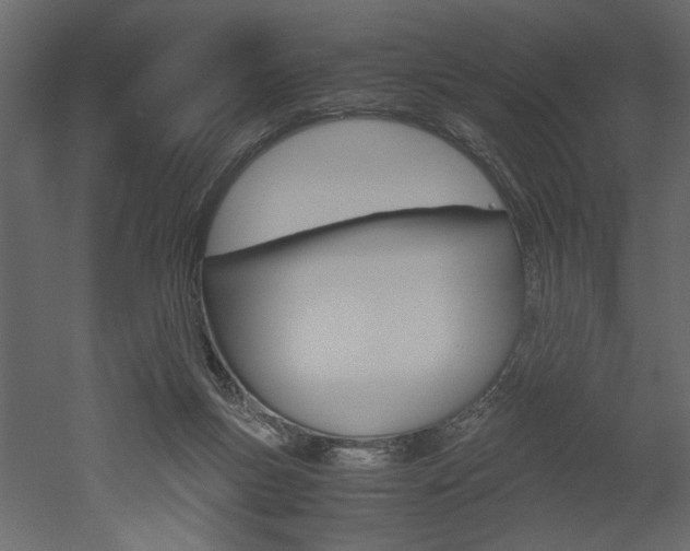 X0000052920167200507080810
