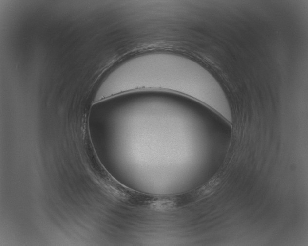 X0000052920168200507080810