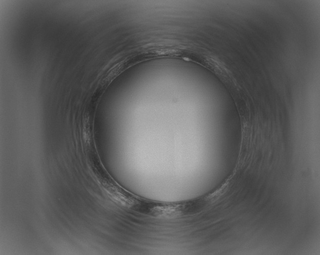 X0000052920170200507080810