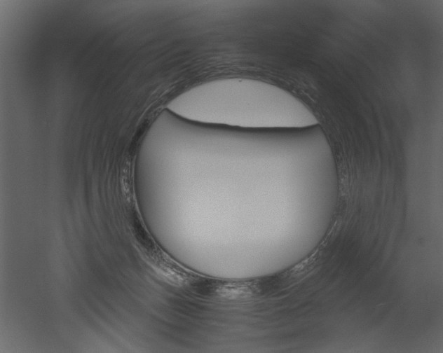 X0000052920175200507080810