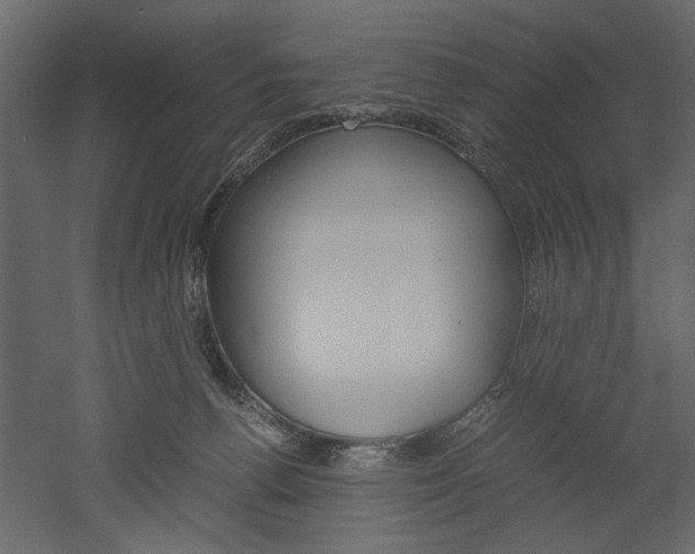 X0000052920176200507080810