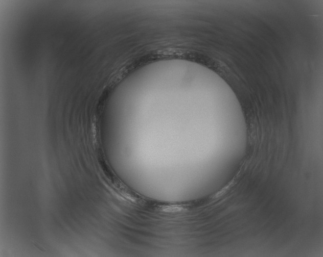 X0000052920183200507080810