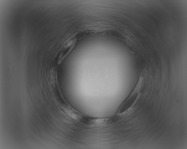 X0000052920184200507080810