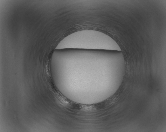 X0000052920185200507080810