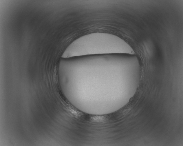 X0000052920189200507080810