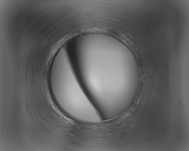 X0000052920193200507080809