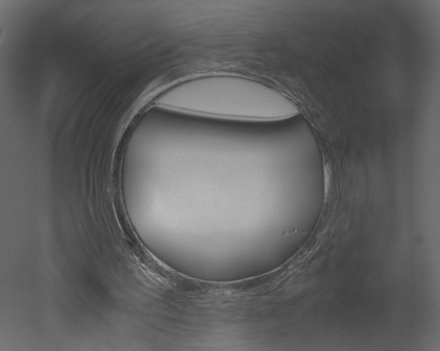 X0000052920195200507080809