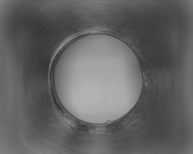 X0000052920196200507080809