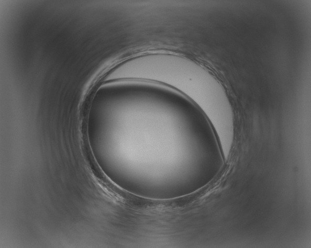 X0000052920197200507080809