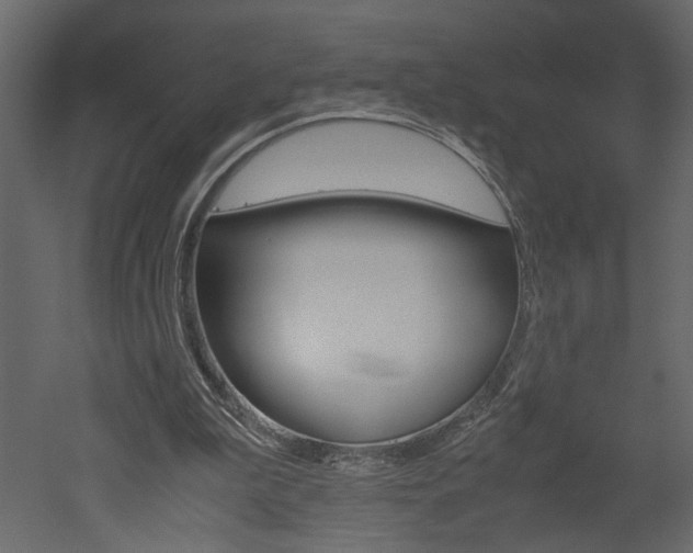 X0000052920199200507080809